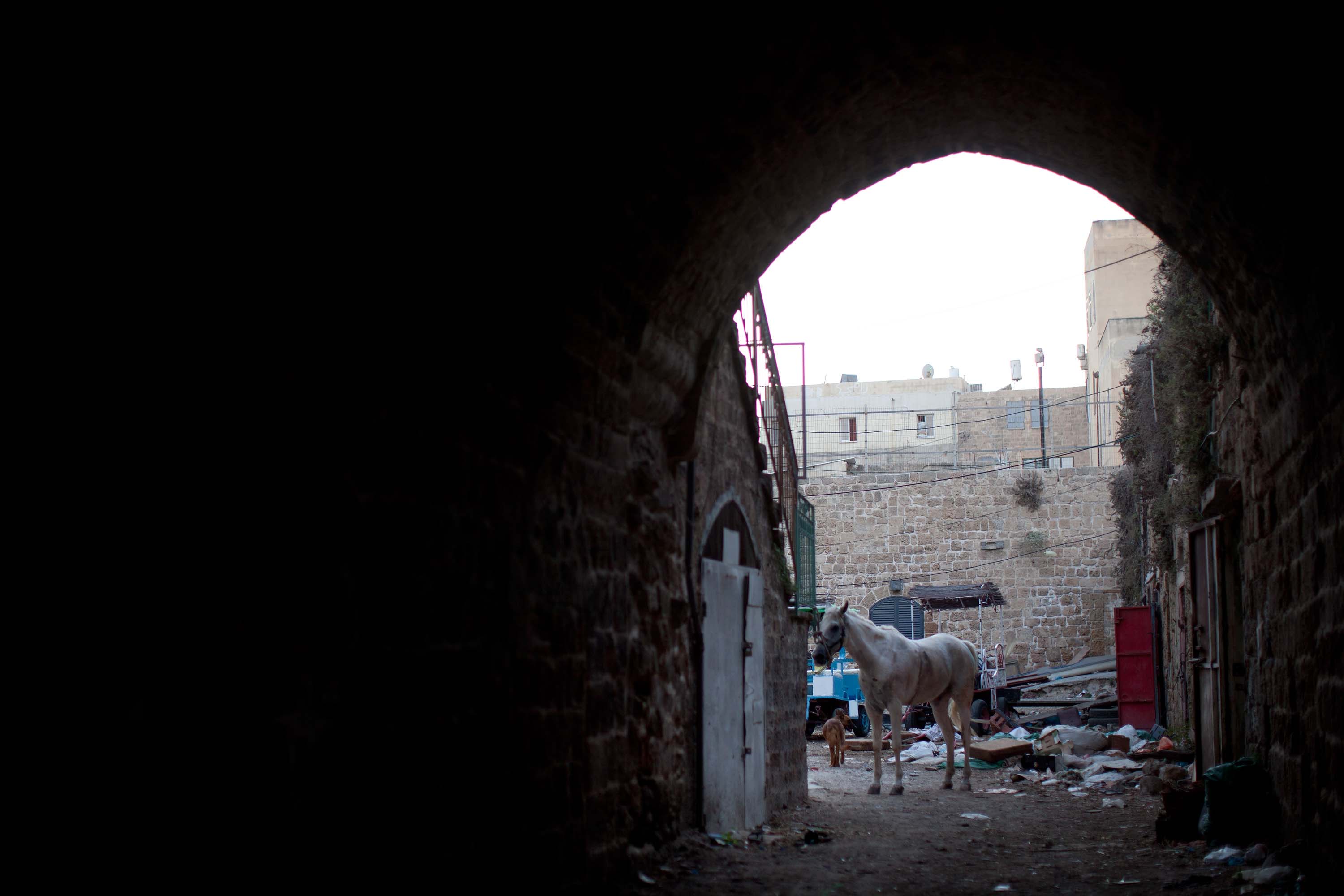 Arabs and Jews Quarrel Over Acre’s Old City