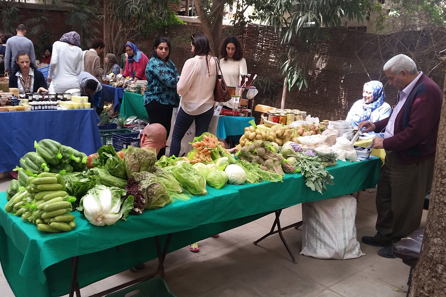 Cairo’s Organics Boost Local Food, Sustainable Agricultural