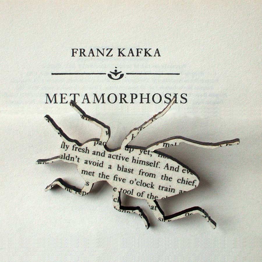 metamorphosis franz kafka cliffnotes