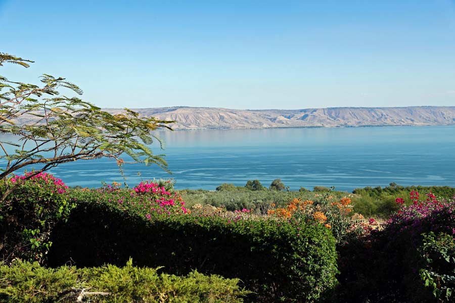 Salty Sea of Galilee