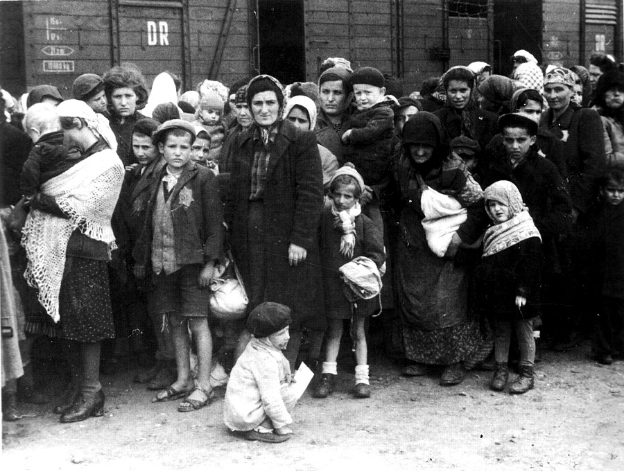Holocaust Education In The Arab World