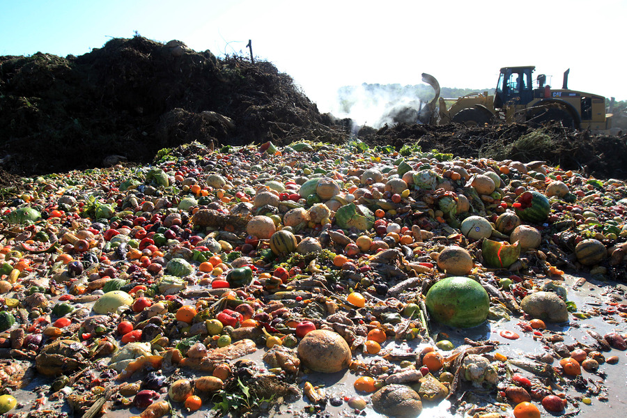 Survey: Israelis Waste 35 Percent Of All Food Produced In Country