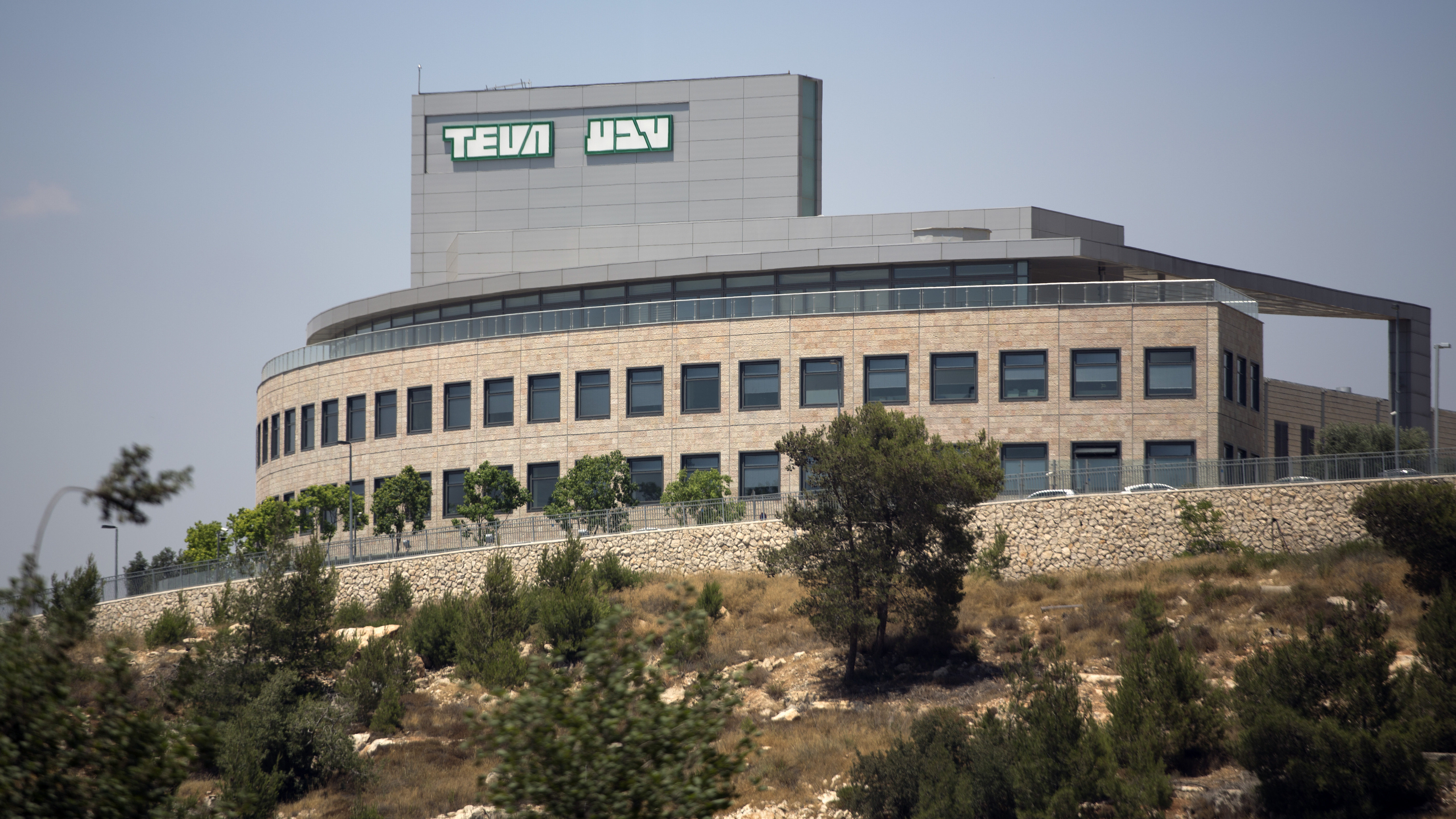 Teva’s Freefall: Any Chance for a Soft Landing? (AUDIO INTERVIEW)