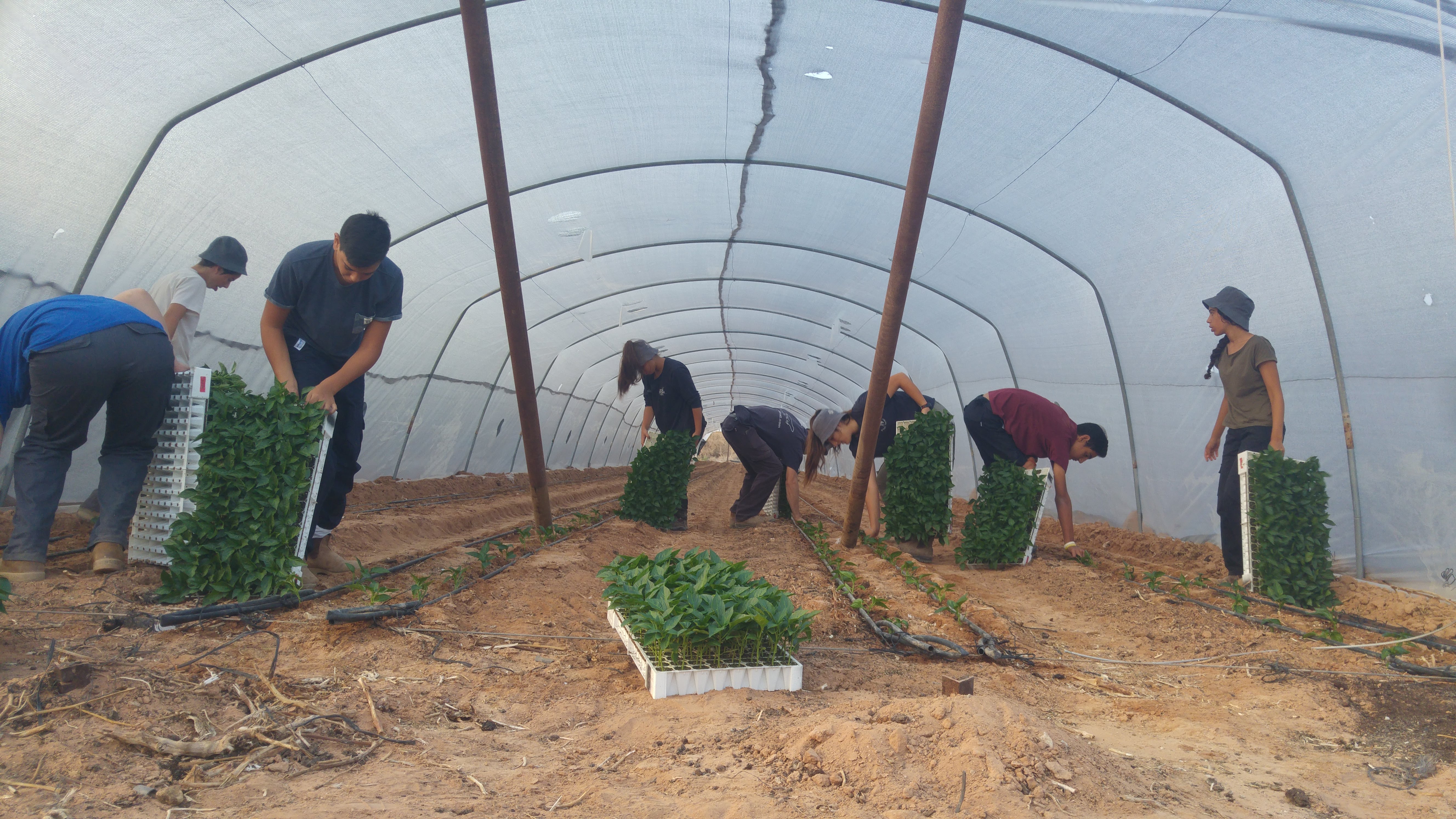 Israeli School Uses Legacy of Farming Pioneers to Instill Values