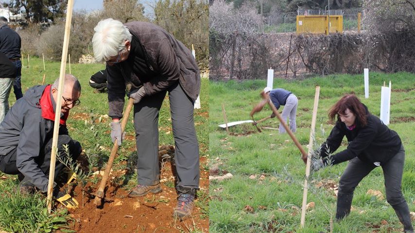 Olive Planting Program 2020 – Palestine