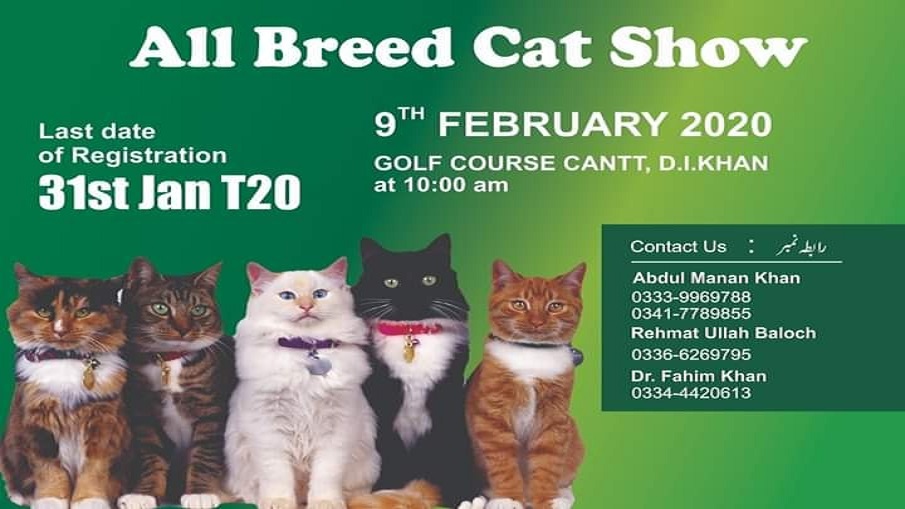 All Breed Cat Show