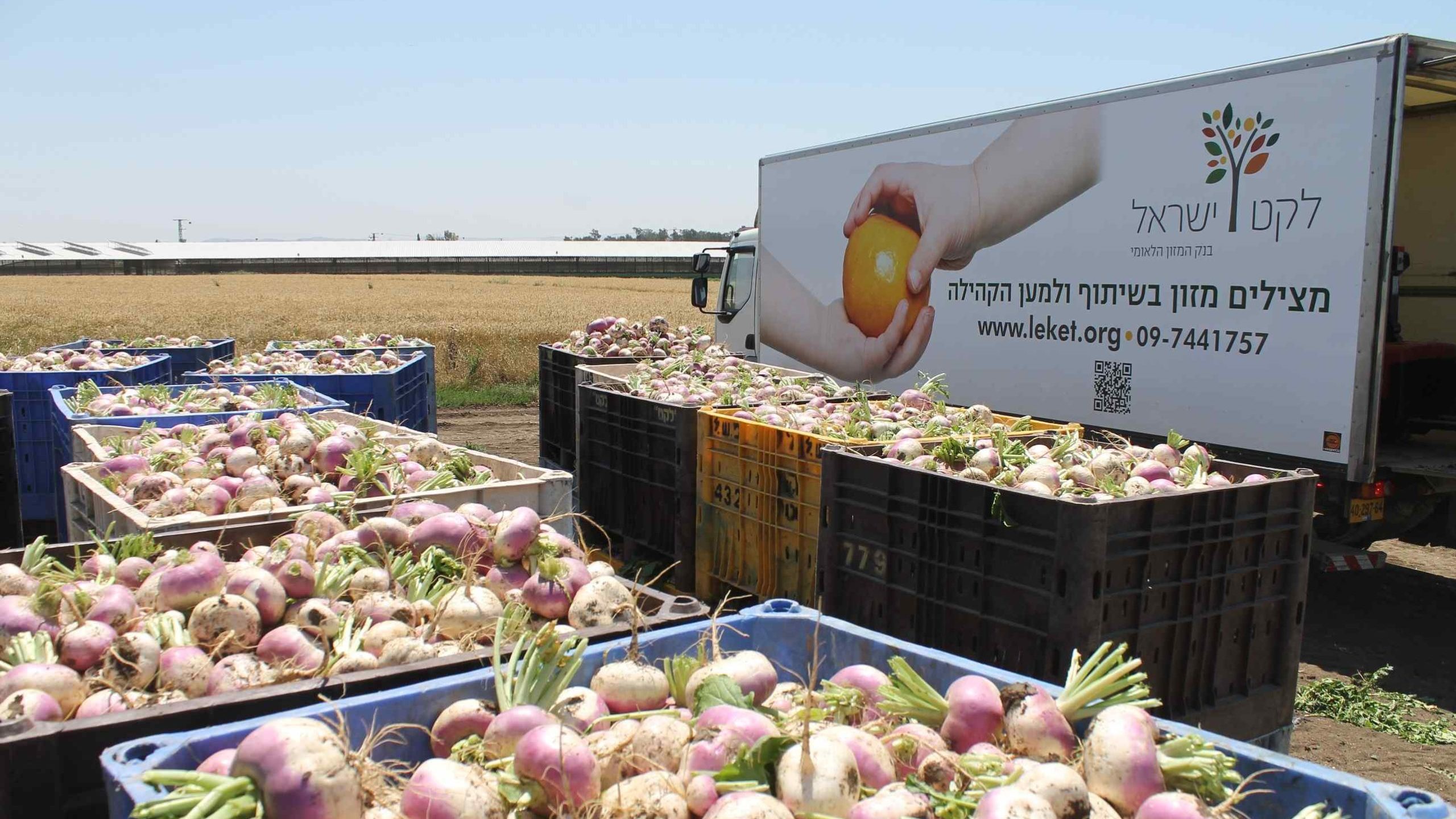 Bread and Ballots: The Role of Food in the Next Israeli Election