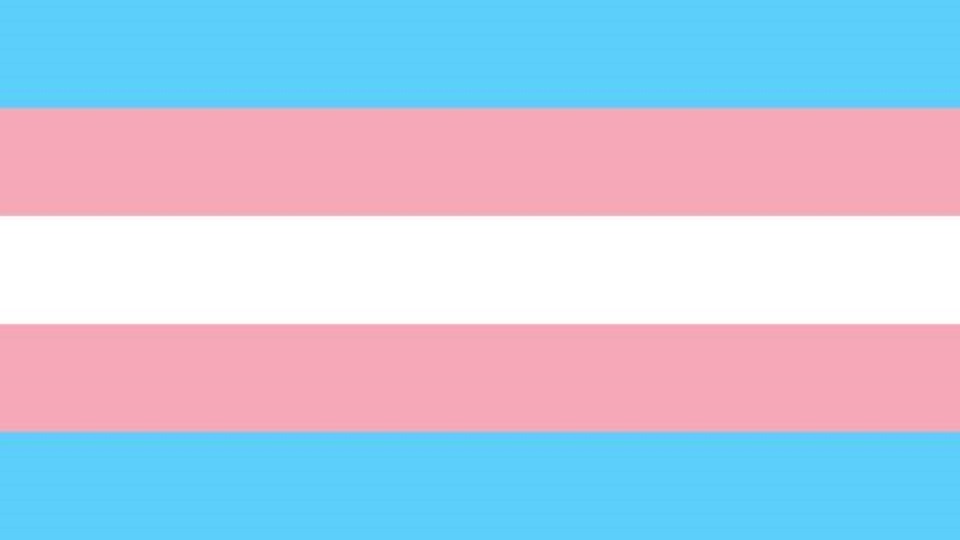 Stop Exploitation of Trans People in Lebanon