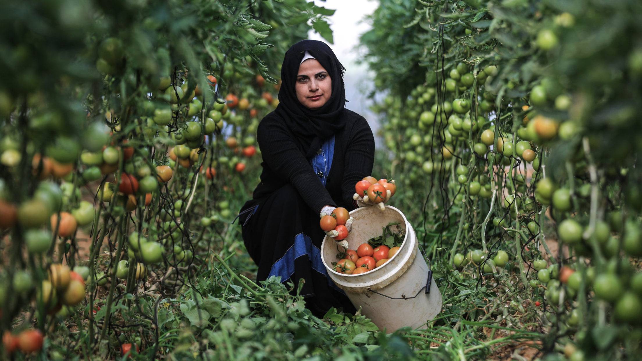 Traditional Values Make it Difficult for Palestinian Women to Find Work