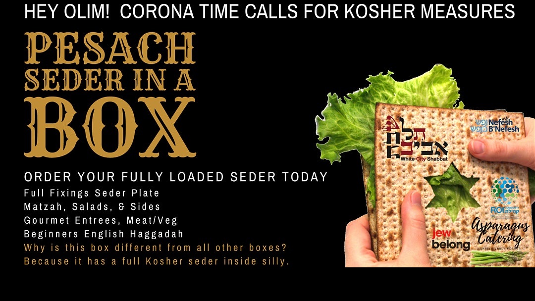 Passover Seder-In-A-Box