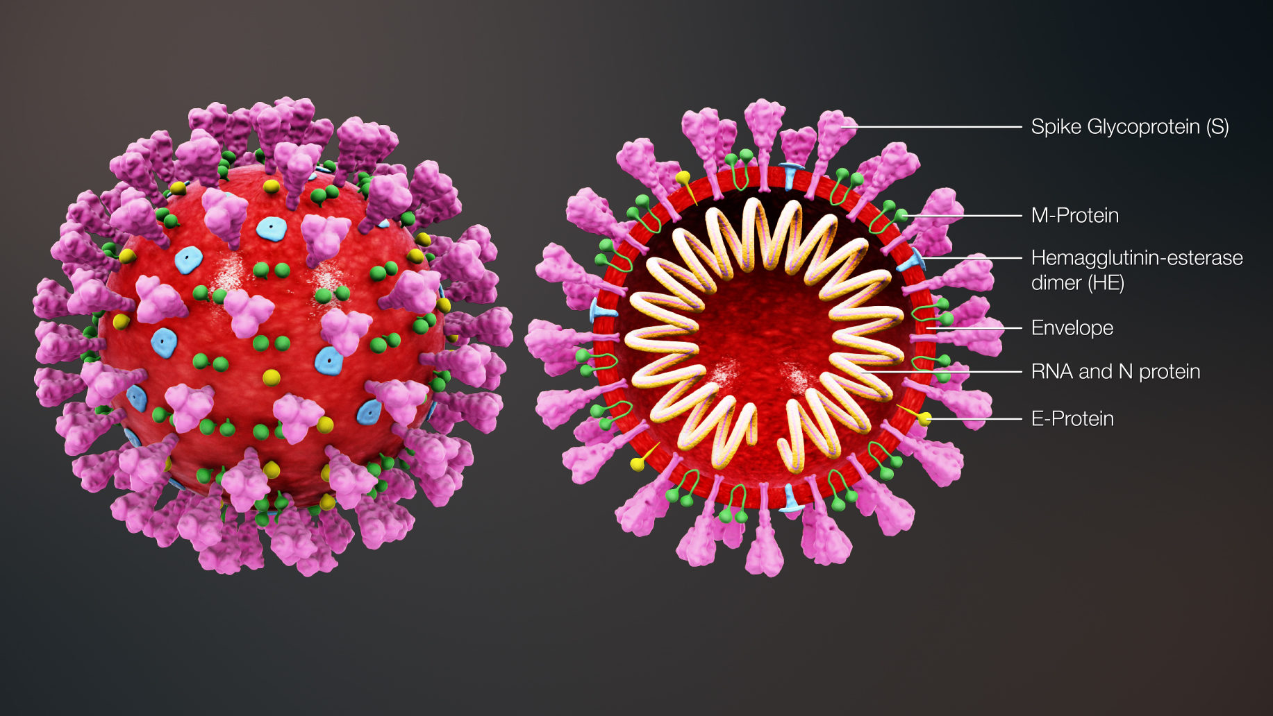 Government Advisers Warn of ‘Devastating’ Second Coronavirus Outbreak