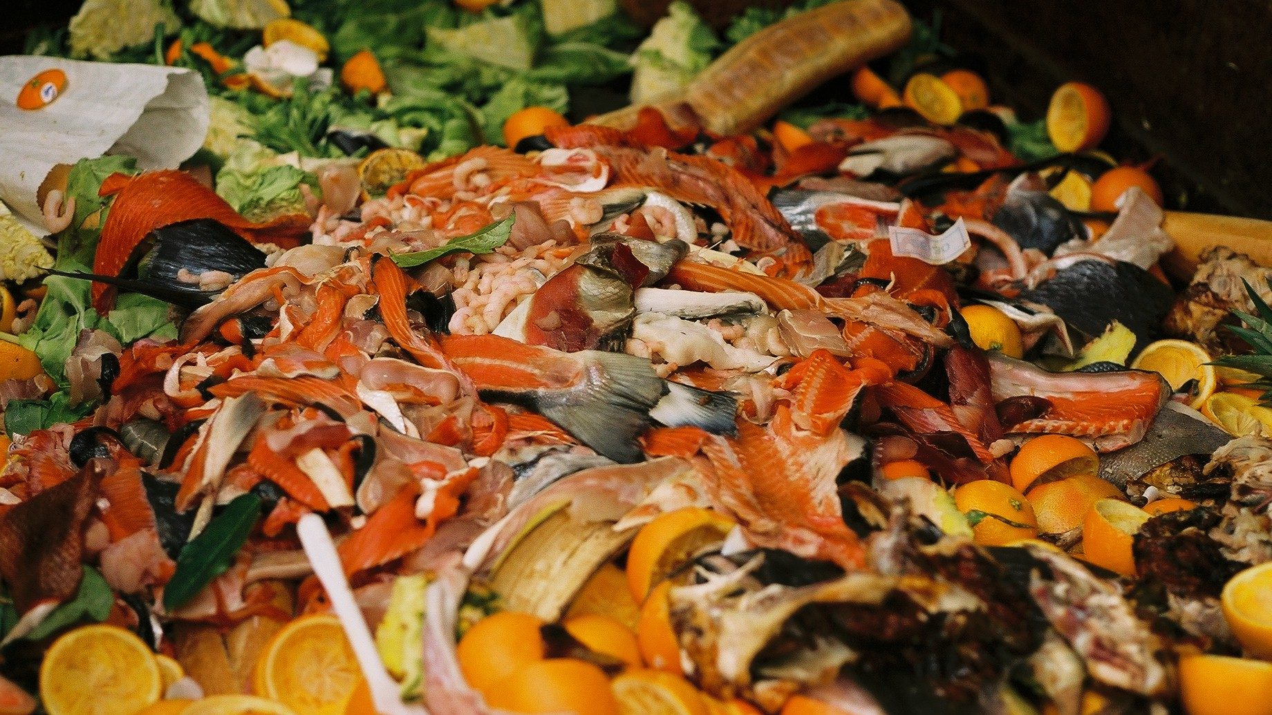 Food Waste Not, Want Not in the GCC