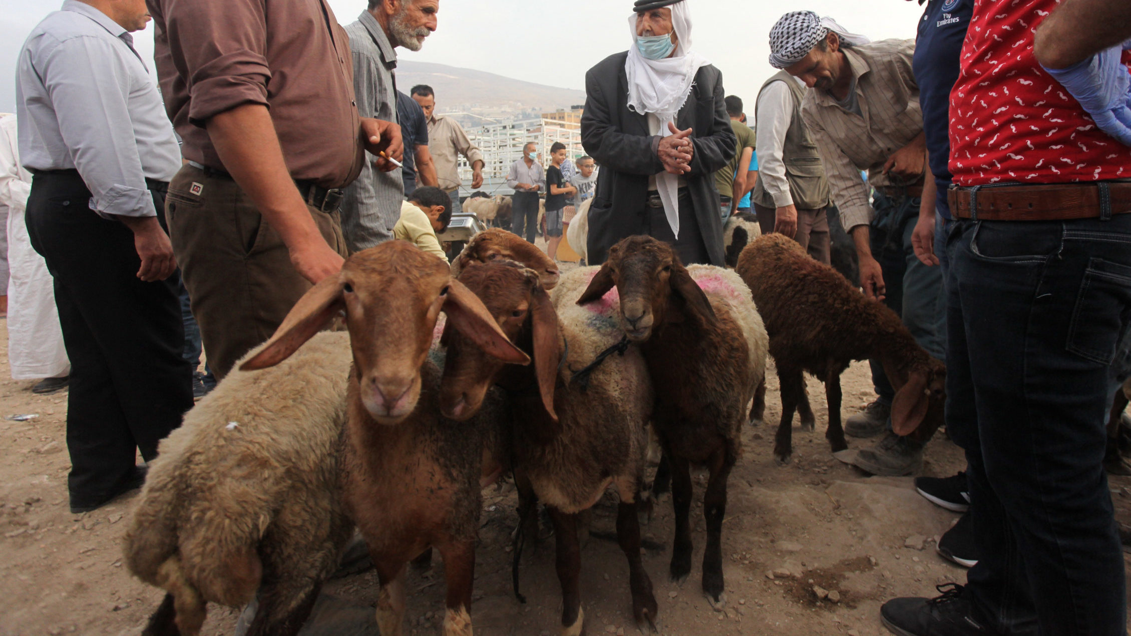 Pandemic to Put Damper on Eid al-Adha for Palestinians