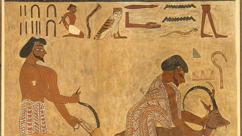 Zoom into Middle Kingdom Egypt: Egypt and the Outside World