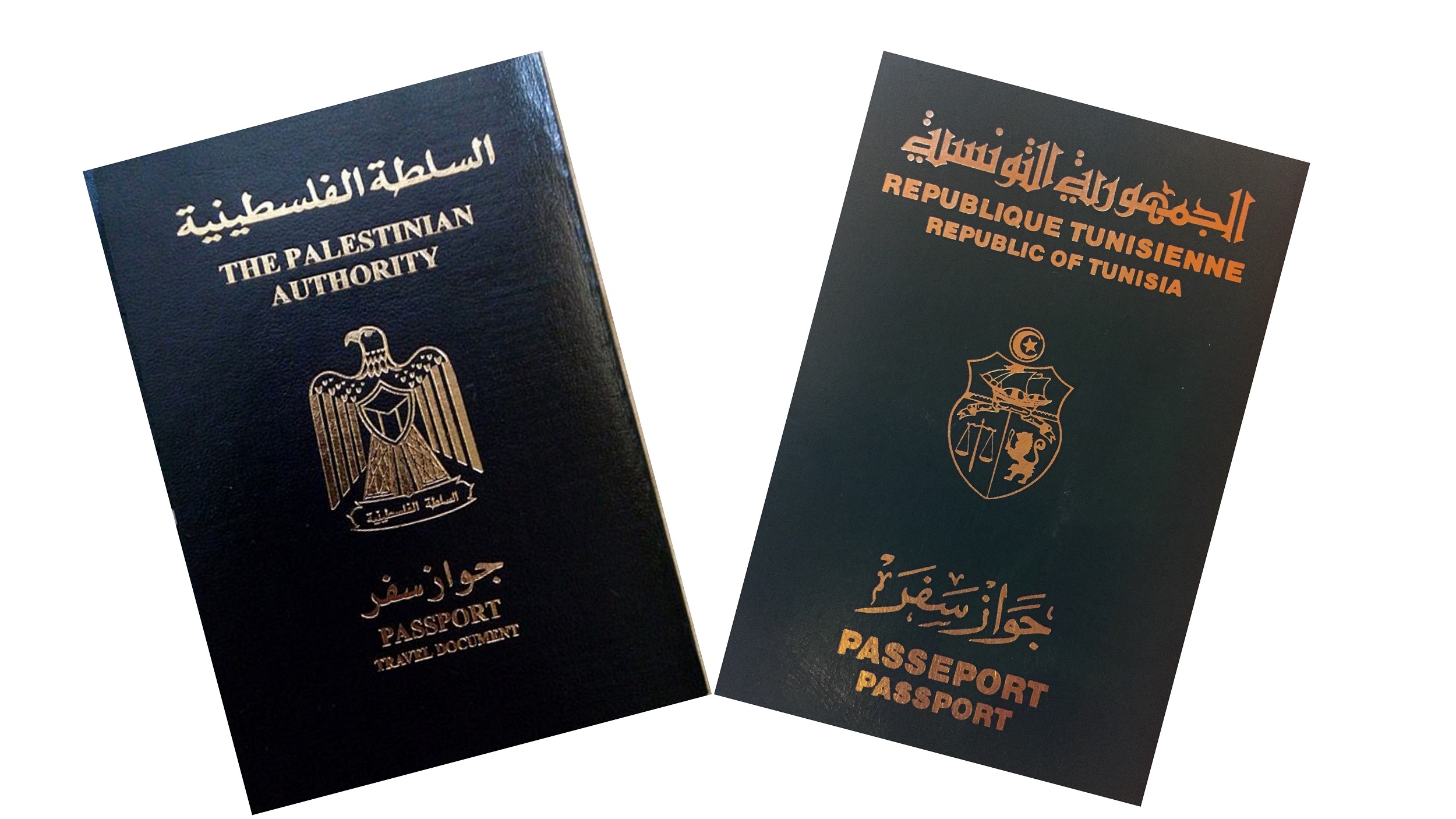 Host Countries Granting Citizenship to Palestinians Empowers Them