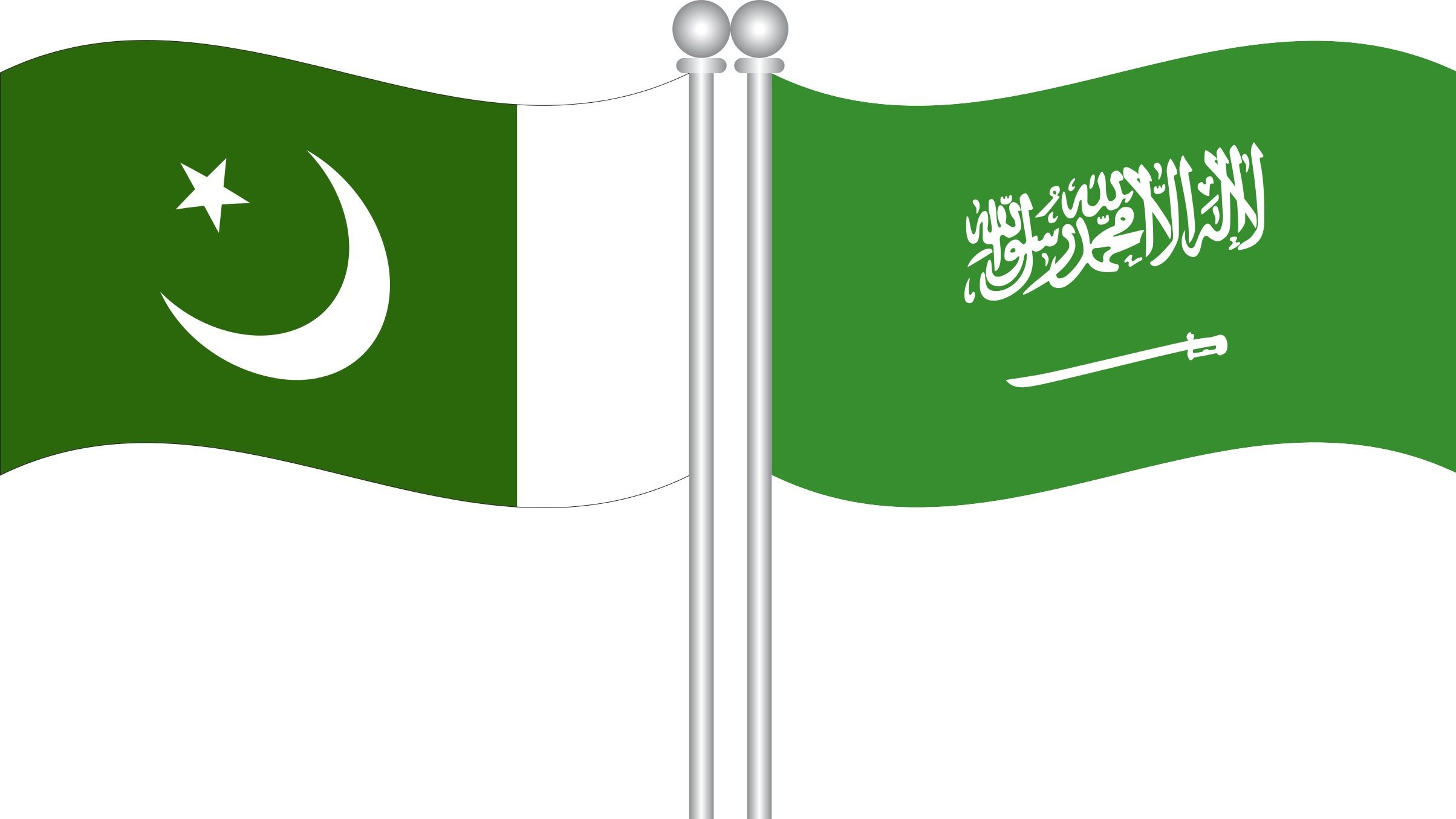 Pakistan, Saudi Arabia to Hold Summit Amid Rare Diplomatic Tensions