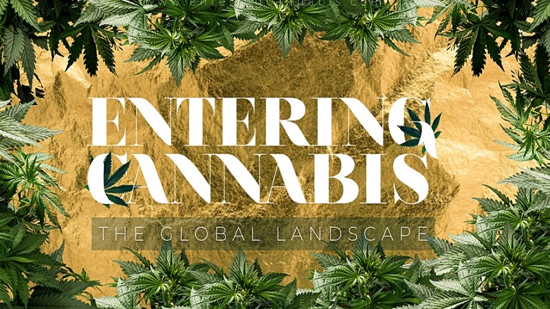 Entering Cannabis: The Global Landscape – Live – Virtual Summit
