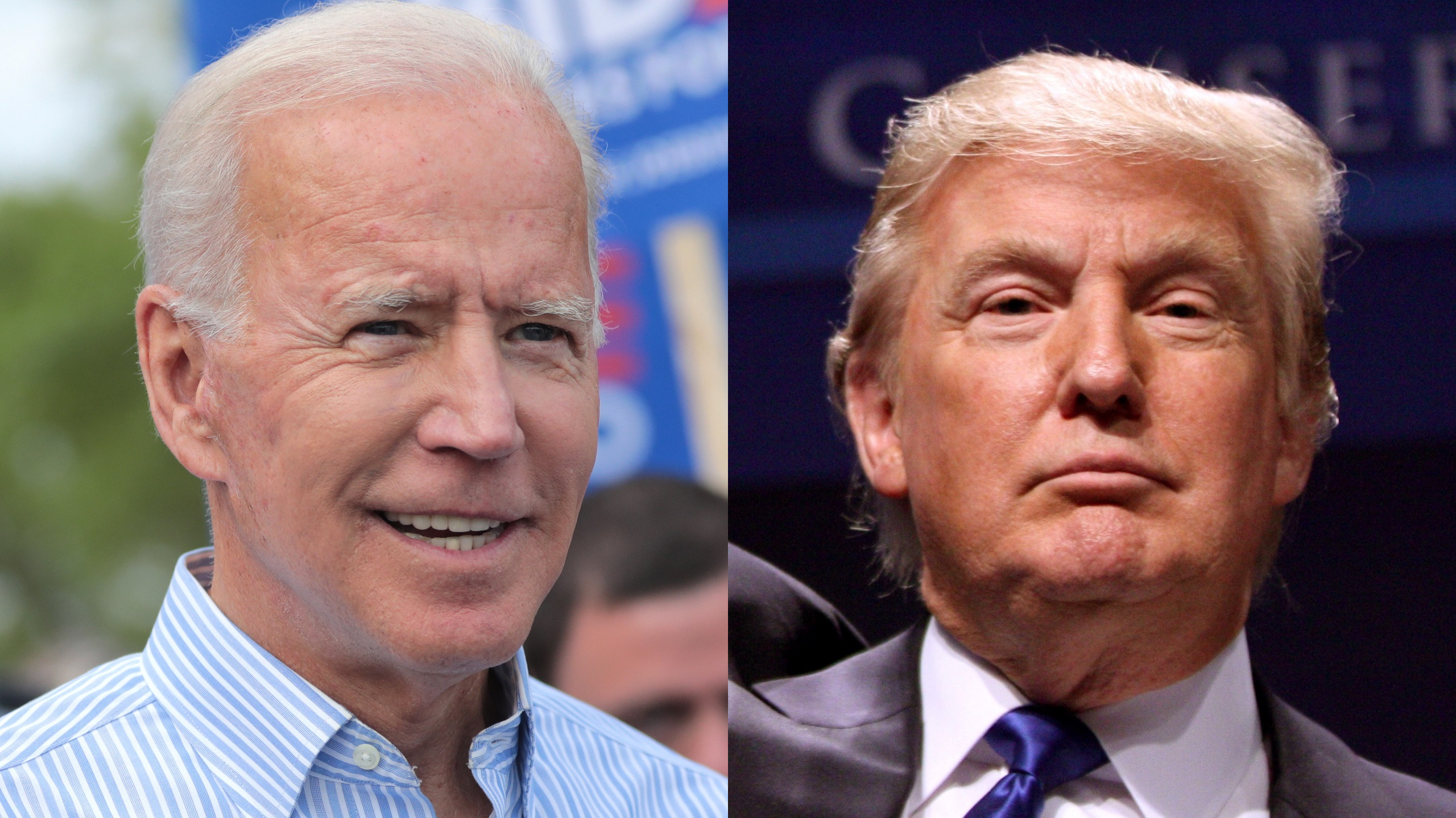 Will Biden and Trump Recompete in the Election?