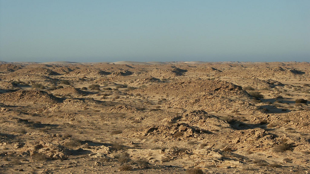 Rebels Fire Rockets on Western Sahara Buffer Zone