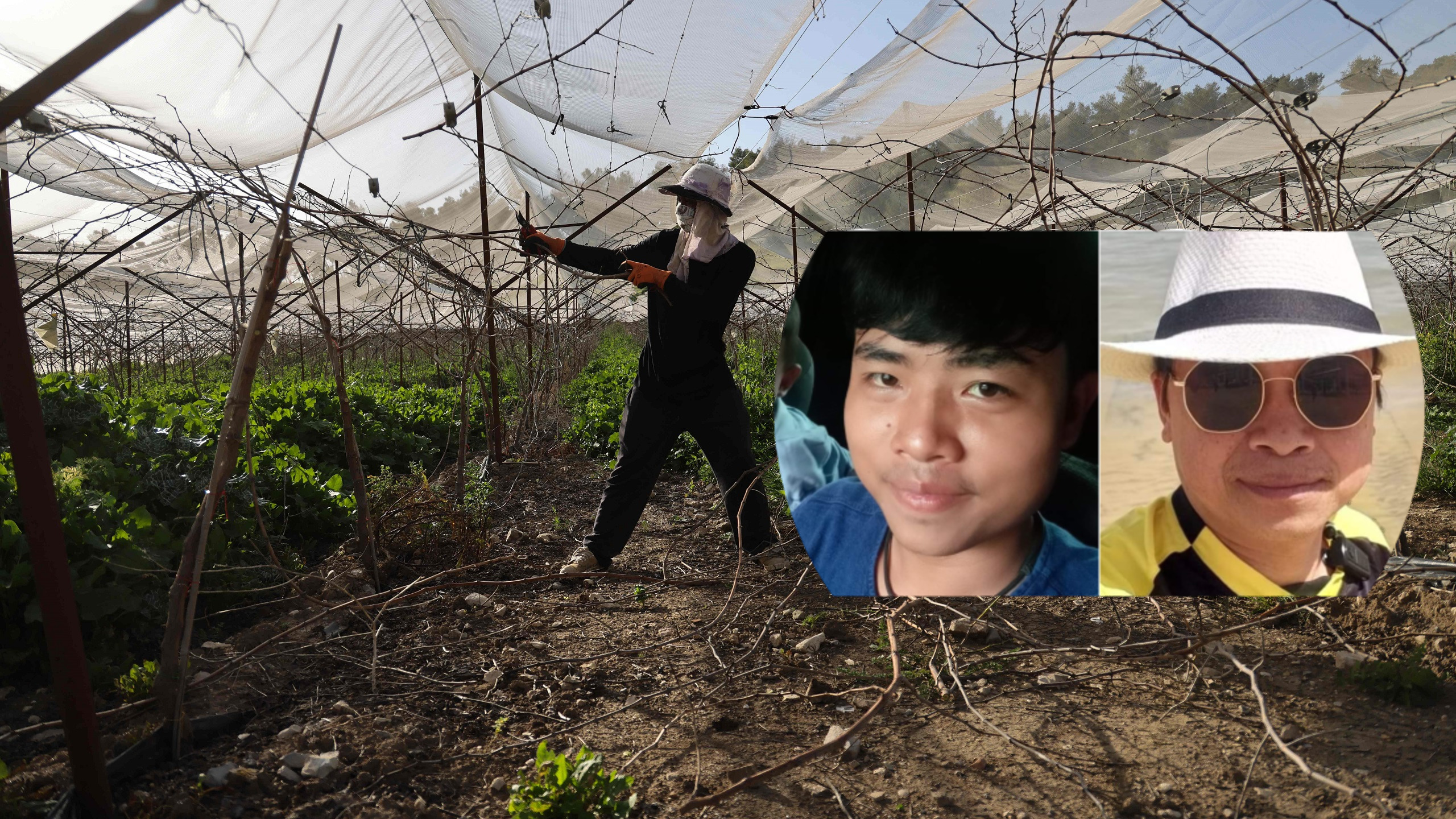 Thai Farmworkers Among Most Vulnerable in Israel to Hamas Rocket Fire