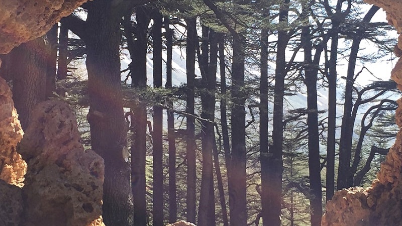 1001 Arab Futures – VIRTUAL PERFORMANCE VIEWING