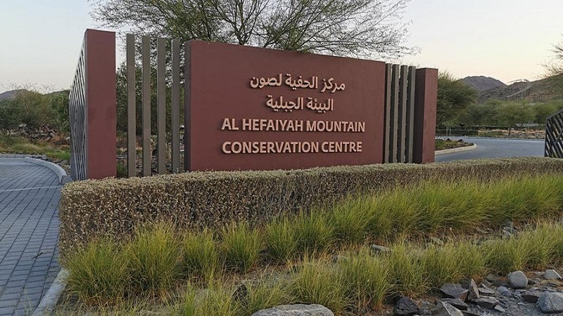 Al Hefaiyah Mountain Conservation Centre and other EPAA Conservation project