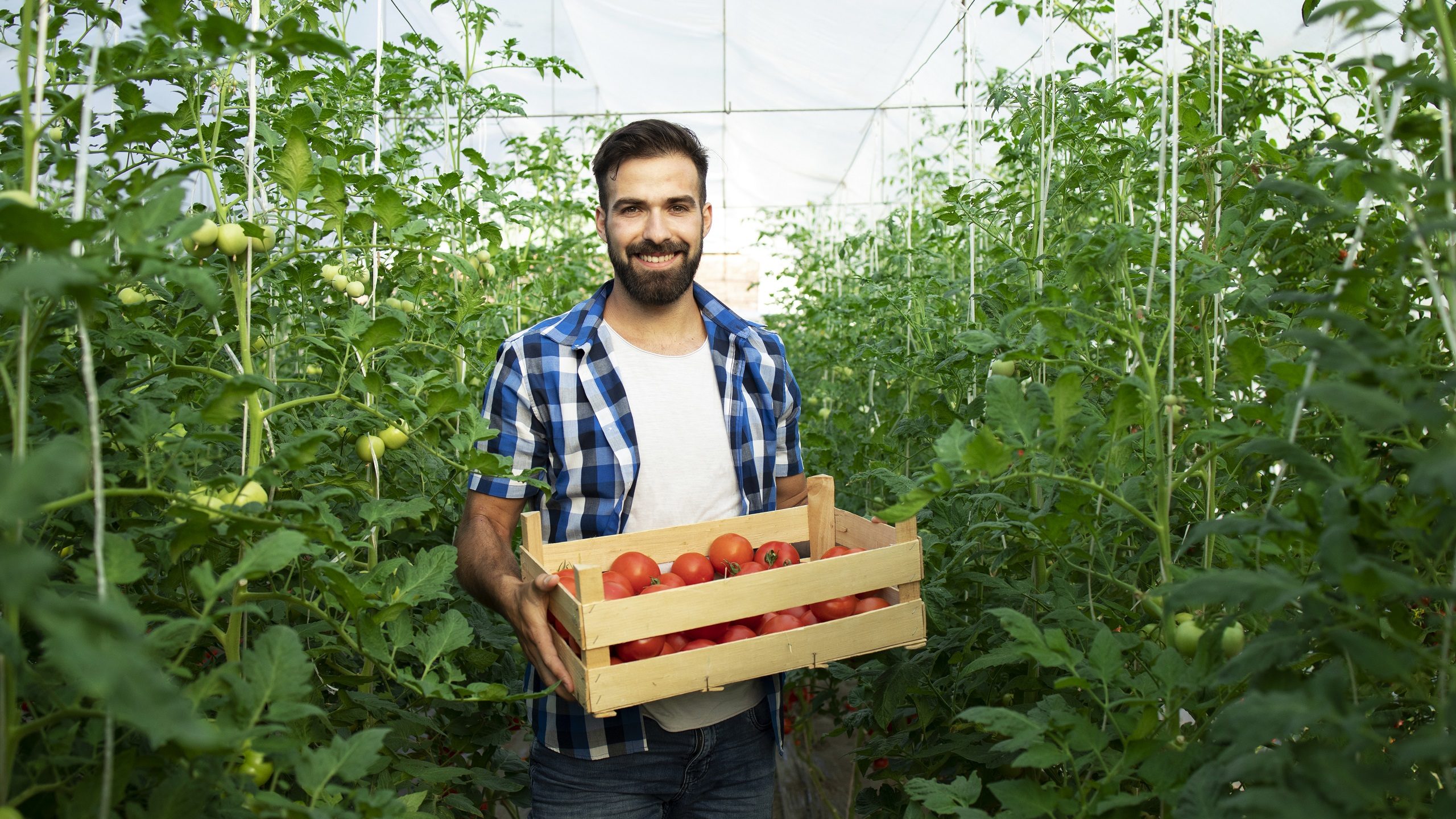 Saving Israel’s Agriculture Sector