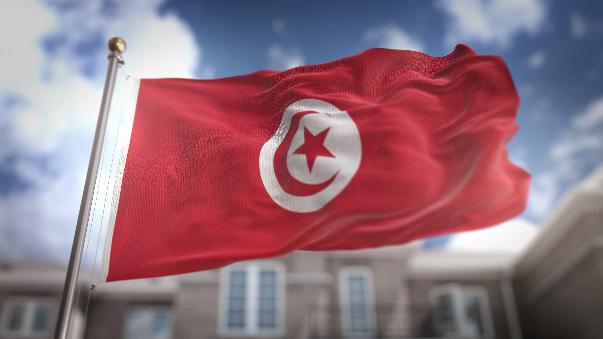 Tunisians Demonstrate in Capital in Support of Saied