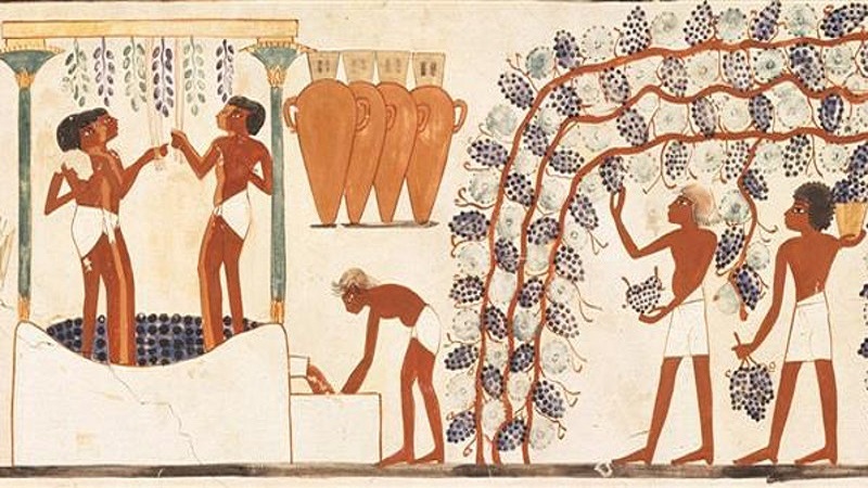 Ancient Egyptian Wine with Alan Fildes