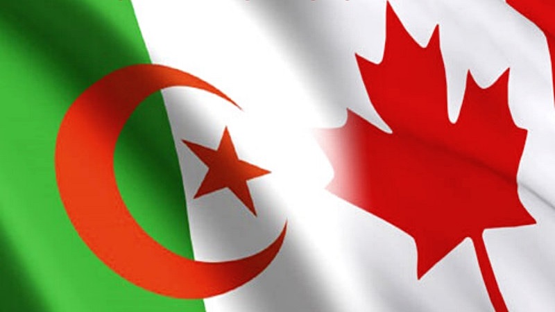 Networking of Algerian professionals and entrepreneurs in Canada (in French)