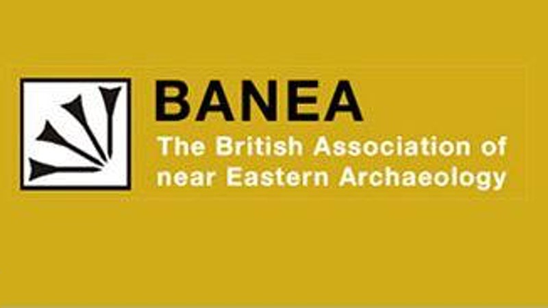 BANEA Equality, Diversity and Inclusivity Workshop 2021
