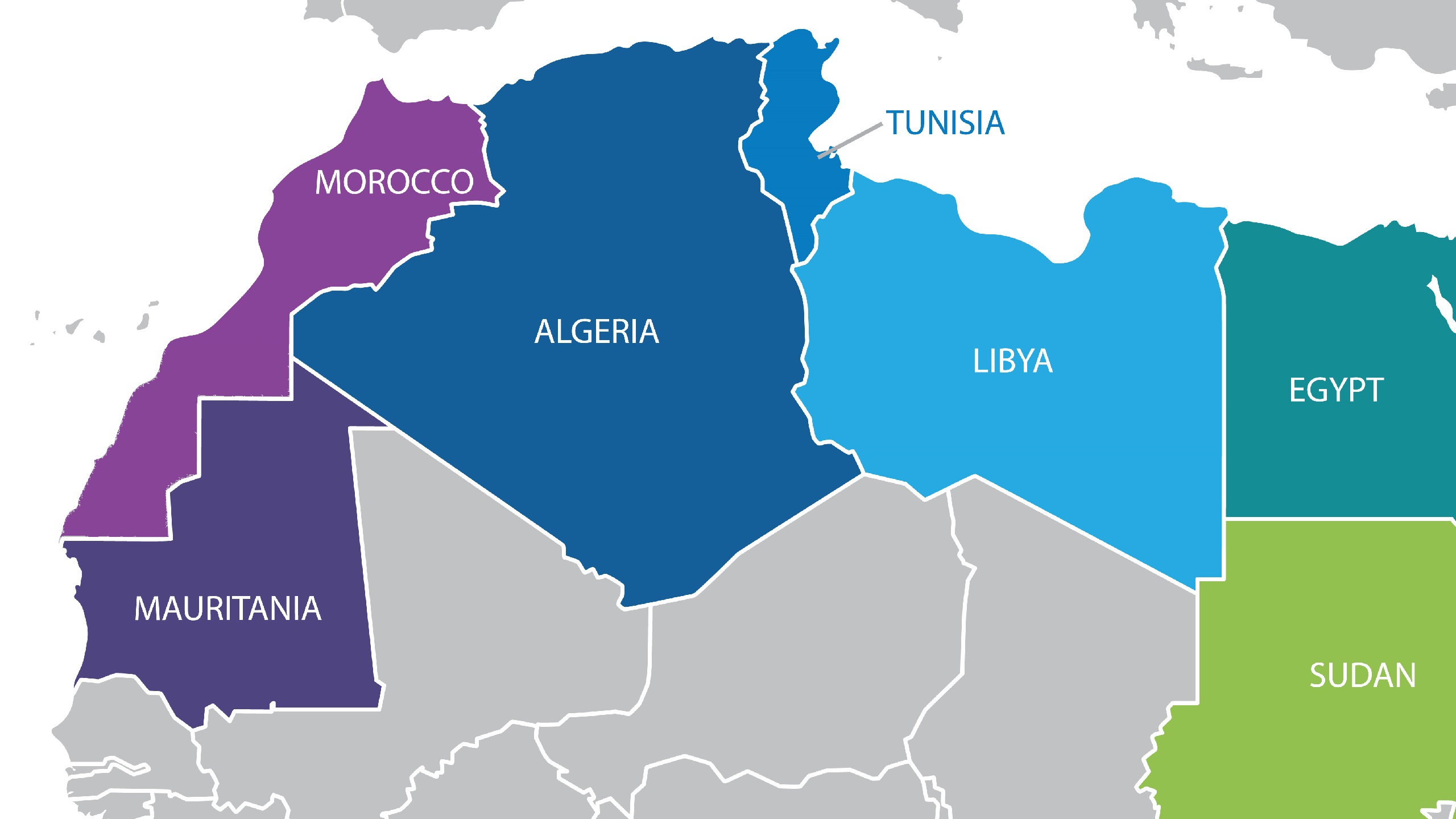 Algeria Angry After Arab League Endorses Moroccan Map Including Western Sahara