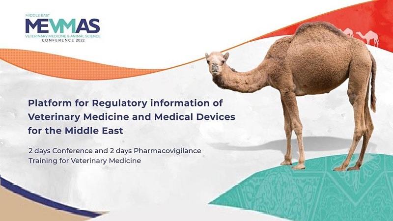 MEVMAS (Middle East Veterinary Medicine and Animal Science Conference 2022)  - The Media Line