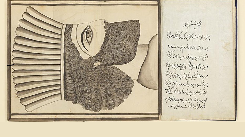 ‘Louise de la Marnierre: A French Woman at the Qajar Court’ by Omar Coloru