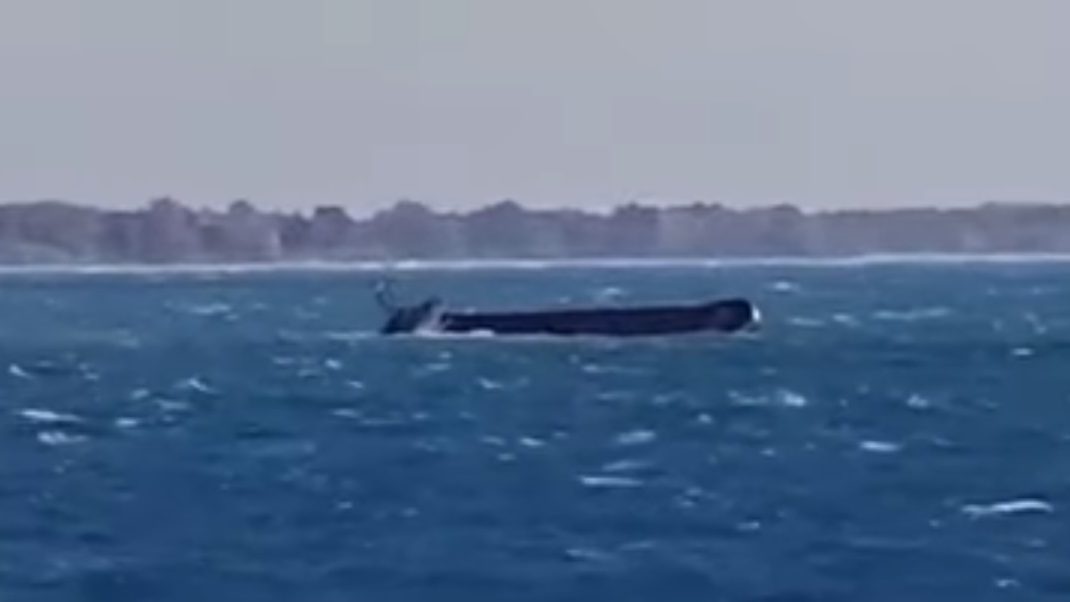 Egyptian Navy Rescues Crew of Capsized Lebanese Cargo Ship