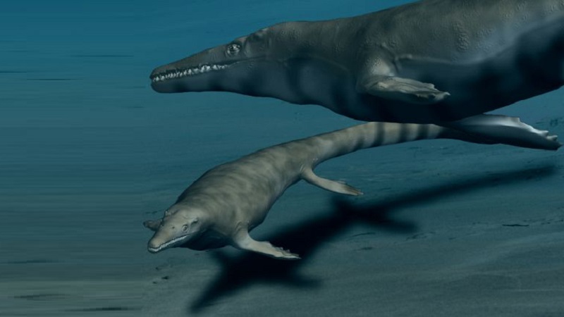 Saudi Tourism Project Unearths Giant Marine Lizard Fossils