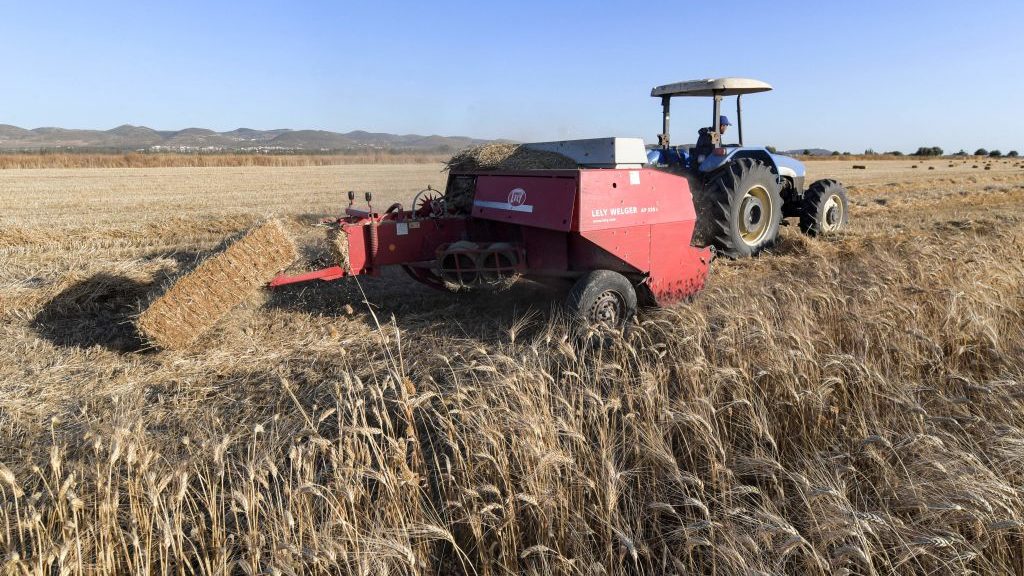 Tunisia Faces Smaller Grain Harvest Due to Fires, Heat Wave