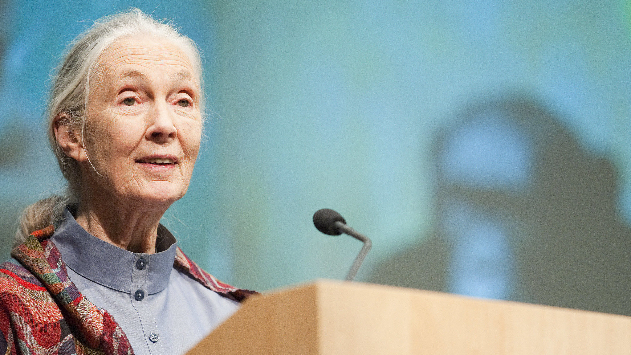 The Jane Goodall Institute Is Opening a Branch in Israel