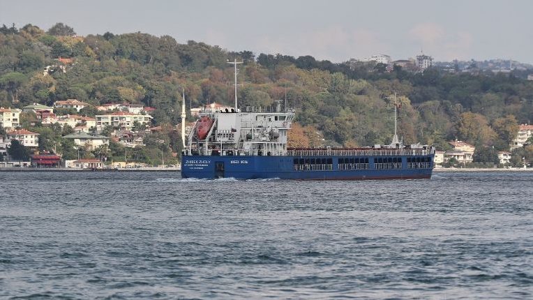 Ukraine Asks Turkey To Probe 3 More Russian Ships Allegedly Carrying Stolen Wheat