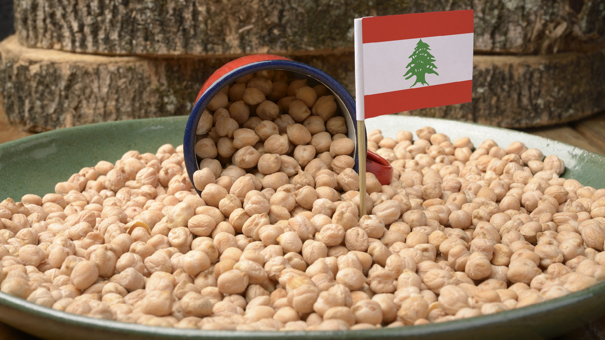 Lebanon’s President Asks UN Agency To Help Export Agricultural Products