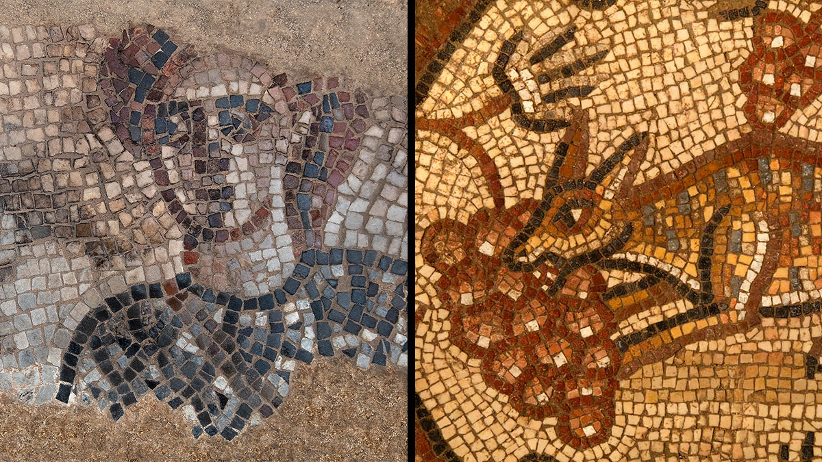 Ancient Mosaics Depicting Biblical Deborah, Yael Found in Northern Israel