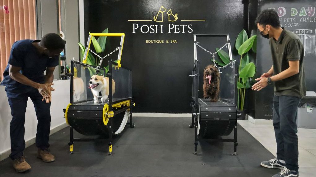 It’s a Dog’s Life at Special Gym in Abu Dhabi