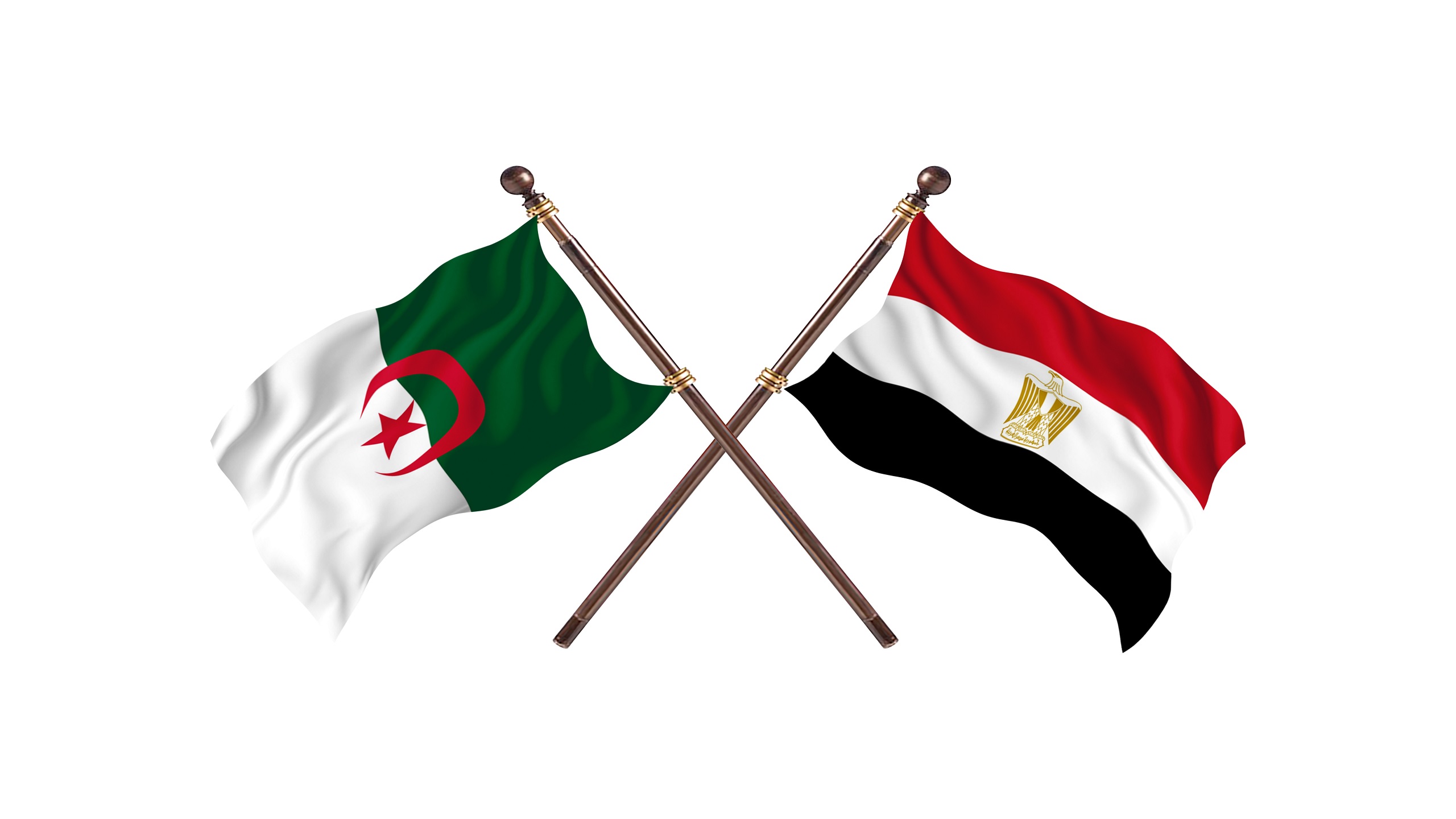 Egyptian President, Algerian Foreign Minister Hold Talks in Cairo on Bilateral Ties