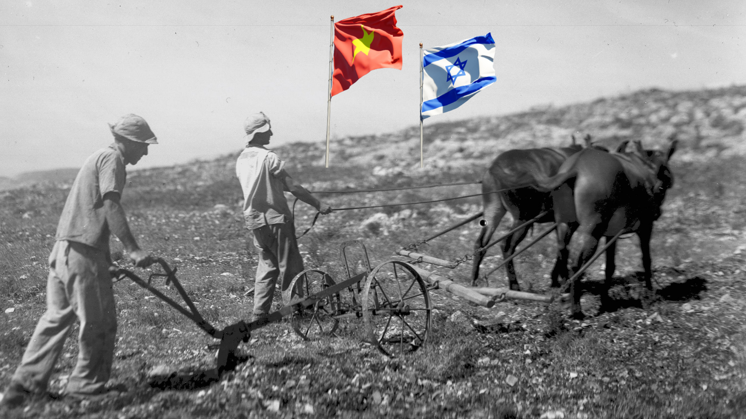 Vietnamese Delegation Visits Israel To Discuss Agricultural Cooperation, Learn About Successful Socialism