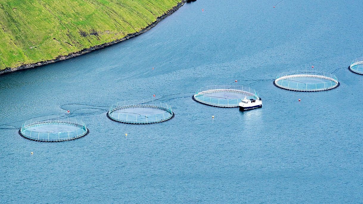 Israel Turns to Genetic Modification and Aquaculture To Solve Food Insecurity