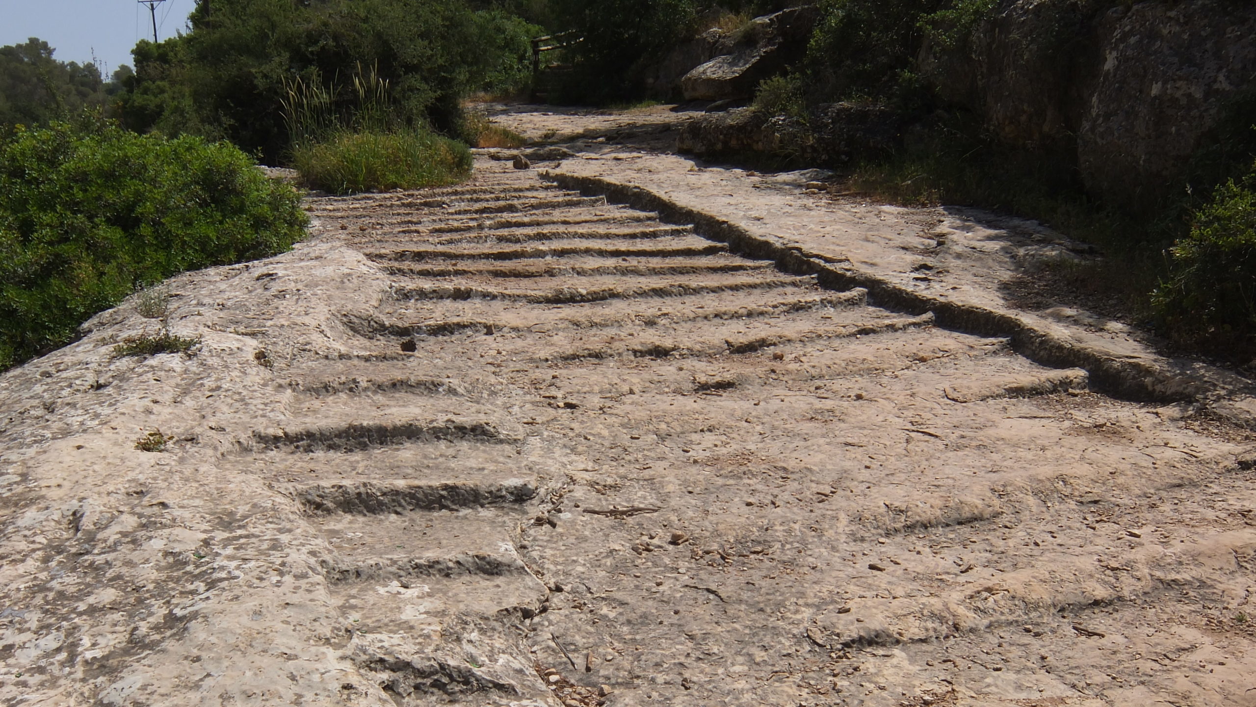 Archaeologists in Israel Uncover Section of Ancient Roman Road