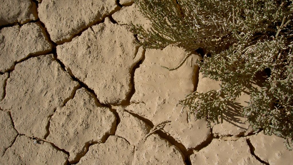 Shortage of Water for Farming, Drinking Due to Tunisian Drought Could Damage Grain Harvest