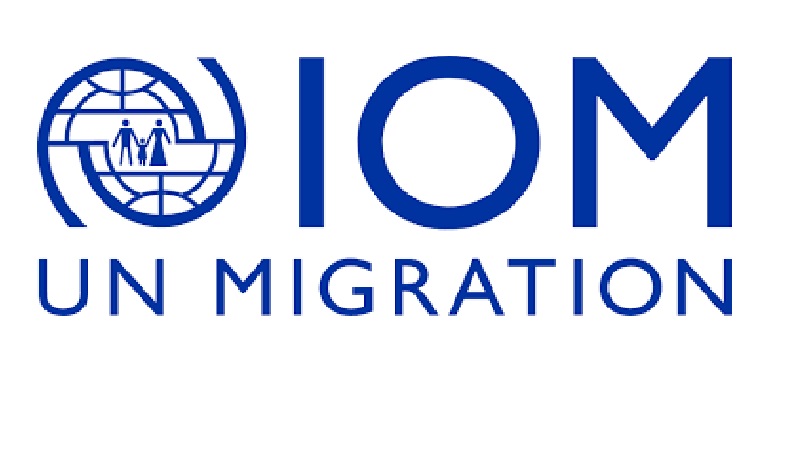 IOM Helps Over 3,200 African Migrants Stranded in Yemen Return Home Safely