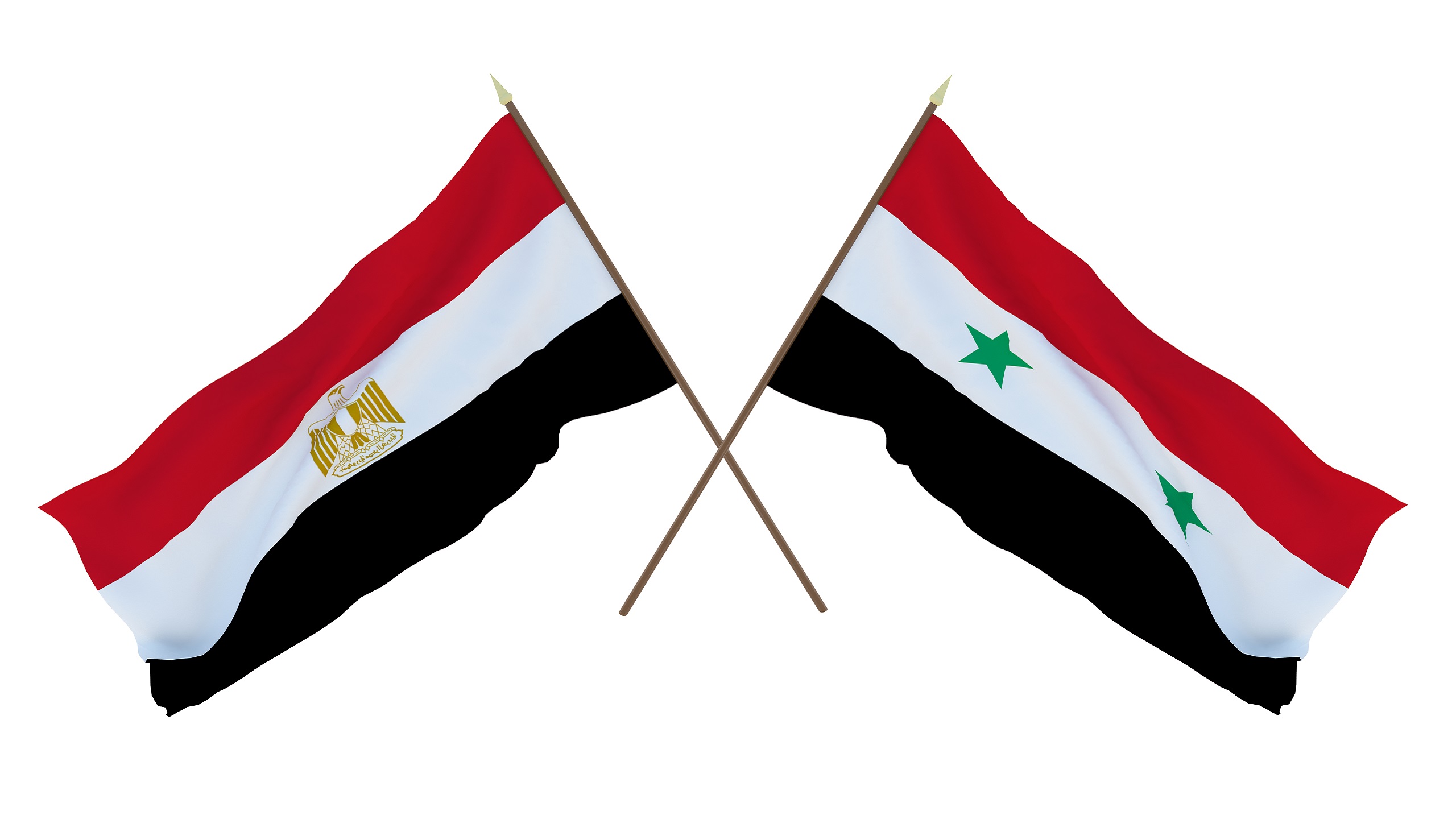 Egyptian, Syrian FMs Meet To Discuss Bilateral Relations, Political Settlement in Syria