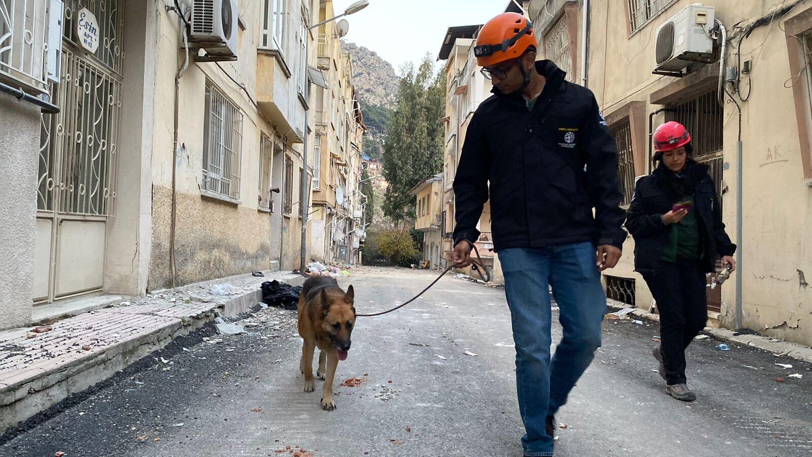 Volunteers Struggle To Find Homes for Animals in Turkey’s Earthquake Region